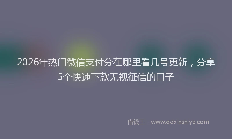 2026年热门微信支付分在哪里看几号更新，分享5个快速下款无视征信的口子
