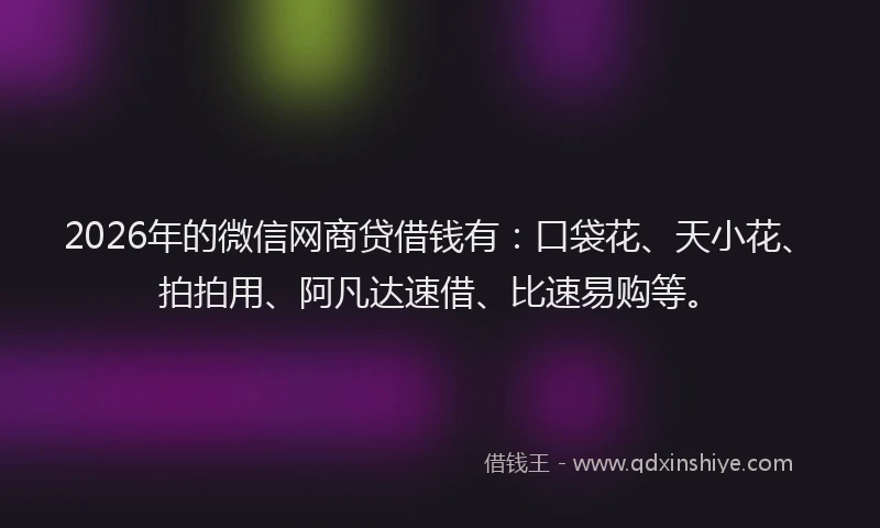 2026年的微信网商贷借钱有：口袋花、天小花、拍拍用、阿凡达速借、比速易购等。