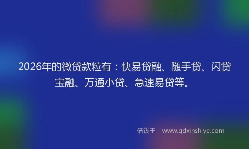 2026年的微贷款粒有：快易贷融、随手贷、闪贷宝融、万通小贷、急速易贷等。