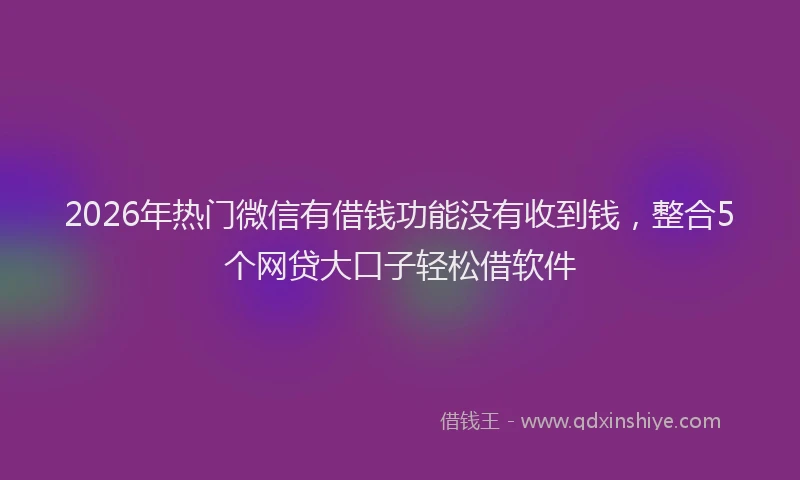 2026年热门微信有借钱功能没有收到钱，整合5个网贷大口子轻松借软件