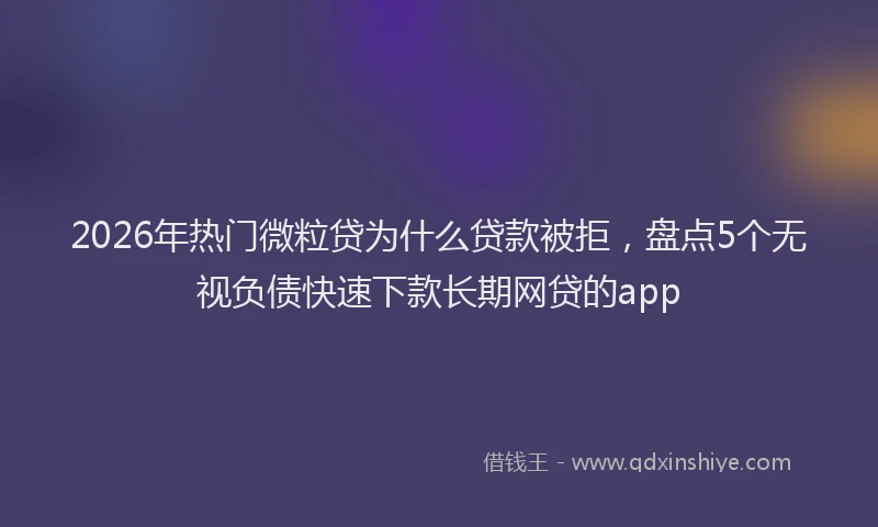 2026年热门微粒贷为什么贷款被拒，盘点5个无视负债快速下款长期网贷的app