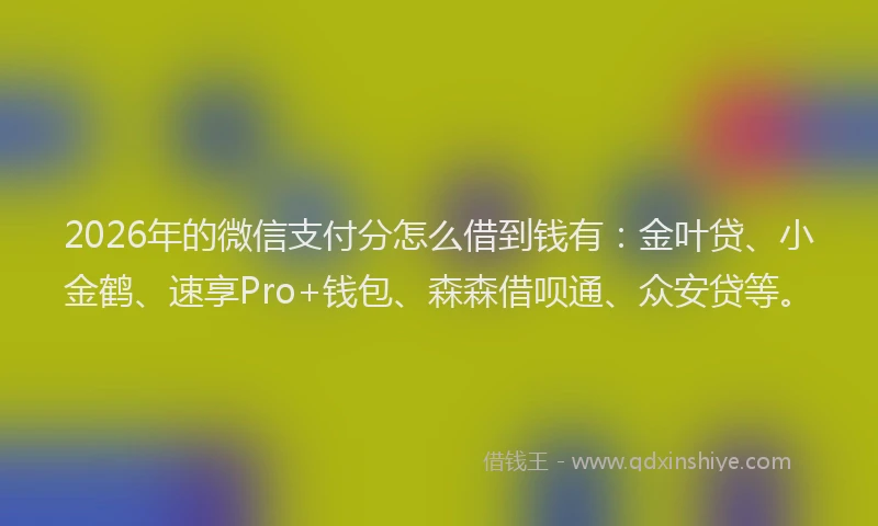 2026年的微信支付分怎么借到钱有：金叶贷、小金鹤、速享Pro+钱包、森森借呗通、众安贷等。