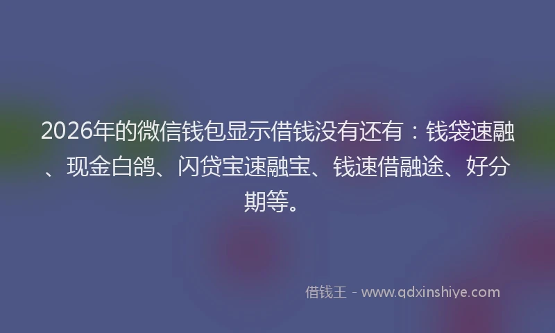 2026年的微信钱包显示借钱没有还有：钱袋速融、现金白鸽、闪贷宝速融宝、钱速借融途、好分期等。