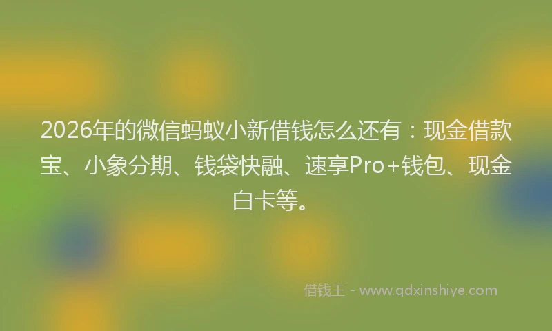 2026年的微信蚂蚁小新借钱怎么还有：现金借款宝、小象分期、钱袋快融、速享Pro+钱包、现金白卡等。