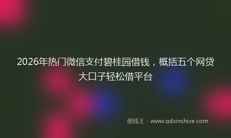 2026年热门微信支付碧桂园借钱，概括五个网贷大口子轻松借平台