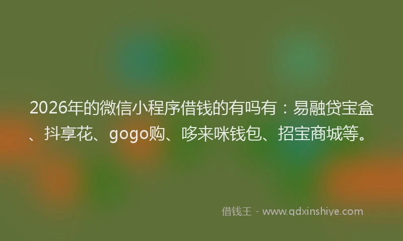 2026年的微信小程序借钱的有吗有：易融贷宝盒、抖享花、gogo购、哆来咪钱包、招宝商城等。