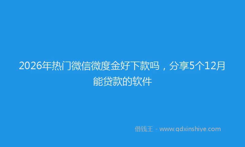 2026年热门微信微度金好下款吗，分享5个12月能贷款的软件