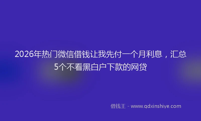 2026年热门微信借钱让我先付一个月利息，汇总5个不看黑白户下款的网贷