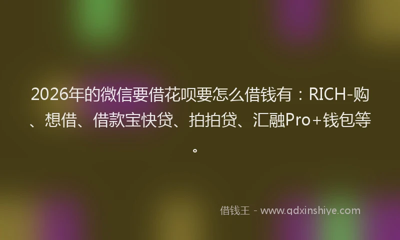 2026年的微信要借花呗要怎么借钱有：RICH-购、想借、借款宝快贷、拍拍贷、汇融Pro+钱包等。
