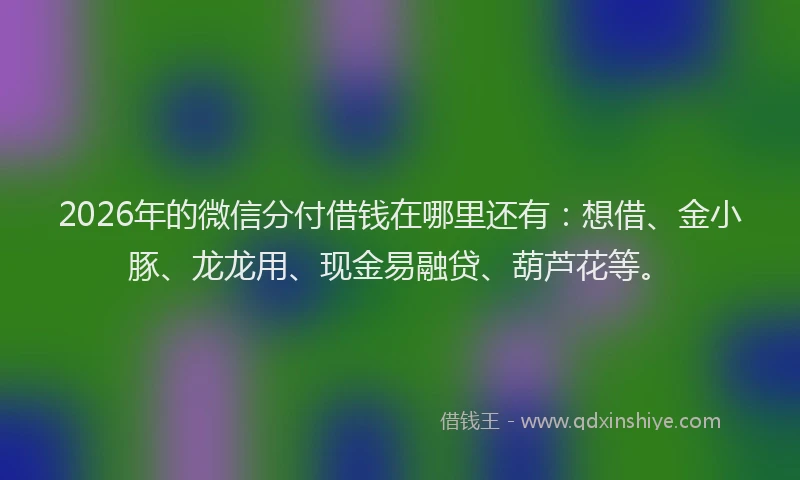 2026年的微信分付借钱在哪里还有：想借、金小豚、龙龙用、现金易融贷、葫芦花等。