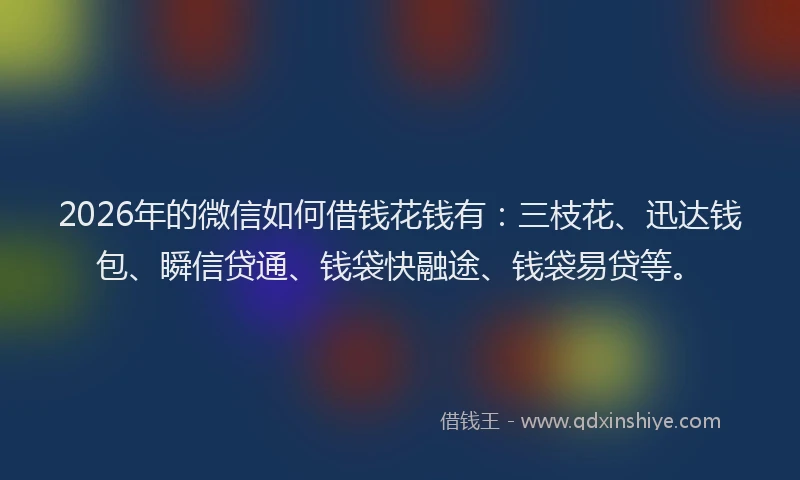 2026年的微信如何借钱花钱有:三枝花、迅达钱包、瞬信贷通、钱袋快融途、钱袋易贷等。