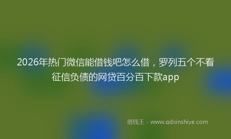 2026年热门微信能借钱吧怎么借，罗列五个不看征信负债的网贷百分百下款app