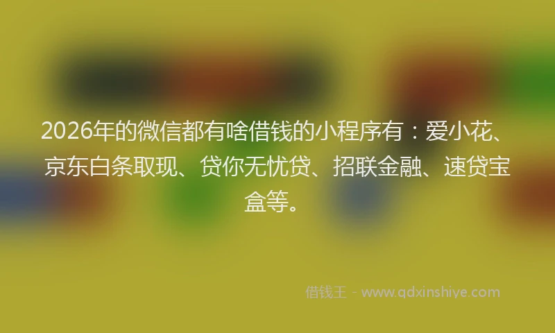 2026年的微信都有啥借钱的小程序有：爱小花、京东白条取现、贷你无忧贷、招联金融、速贷宝盒等。