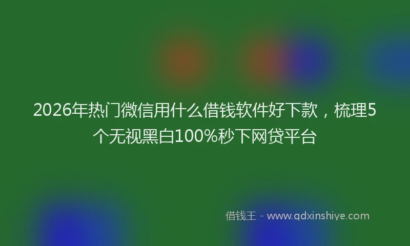 2026年热门微信用什么借钱软件好下款，梳理5个无视黑白100%秒下网贷平台