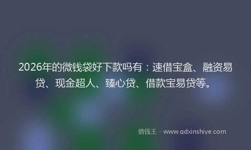 2026年的微钱袋好下款吗有：速借宝盒、融资易贷、现金超人、臻心贷、借款宝易贷等。