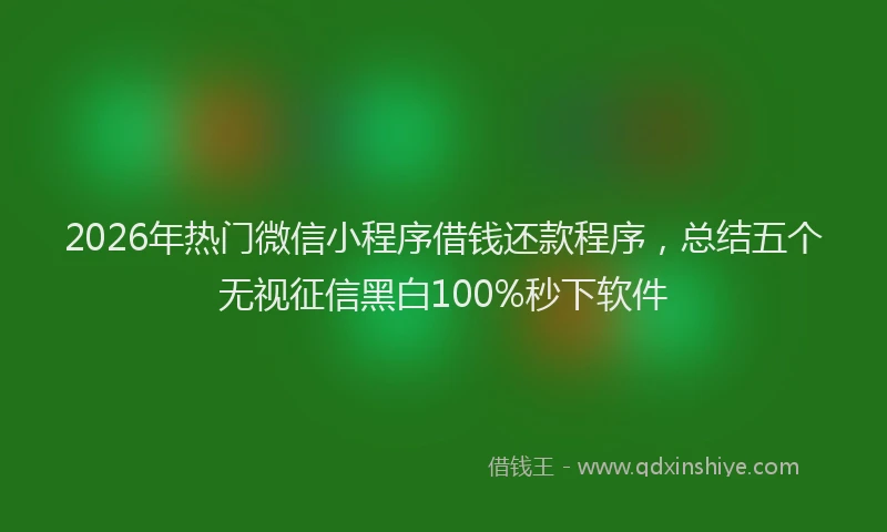 2026年热门微信小程序借钱还款程序,总结五个无视征信黑白100%秒下软件