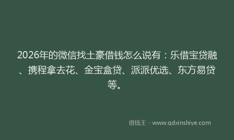 2026年的微信找土豪借钱怎么说有：乐借宝贷融、携程拿去花、金宝盒贷、派派优选、东方易贷等。