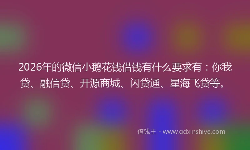 2026年的微信小鹅花钱借钱有什么要求有：你我贷、融信贷、开源商城、闪贷通、星海飞贷等。