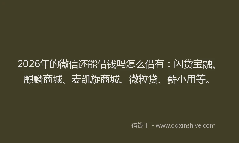 2026年的微信还能借钱吗怎么借有:闪贷宝融、麒麟商城、麦凯旋商城、微粒贷、薪小用等。