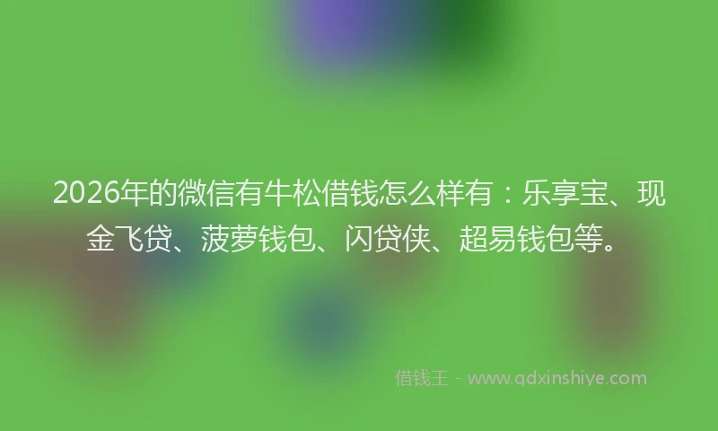 2026年的微信有牛松借钱怎么样有：乐享宝、现金飞贷、菠萝钱包、闪贷侠、超易钱包等。