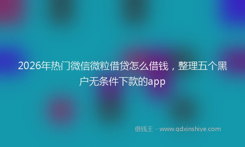 2026年热门微信微粒借贷怎么借钱，整理五个黑户无条件下款的app