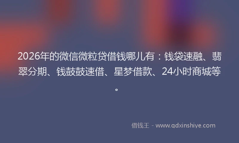 2026年的微信微粒贷借钱哪儿有:钱袋速融、翡翠分期、钱鼓鼓速借、星梦借款、24小时商城等。