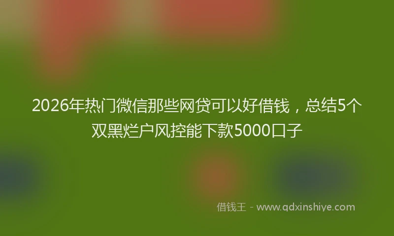 2026年热门微信那些网贷可以好借钱，总结5个双黑烂户风控能下款5000口子