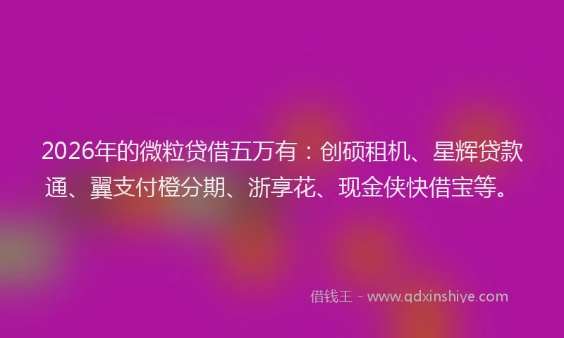 2026年的微粒贷借五万有:创硕租机、星辉贷款通、翼支付橙分期、浙享花、现金侠快借宝等。