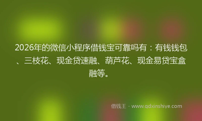 2026年的微信小程序借钱宝可靠吗有:有钱钱包、三枝花、现金贷速融、葫芦花、现金易贷宝盒融等。