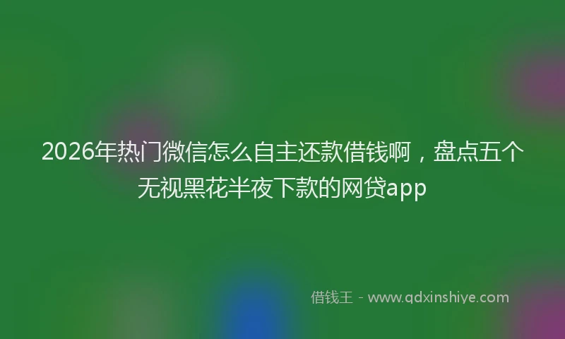 2026年热门微信怎么自主还款借钱啊，盘点五个无视黑花半夜下款的网贷app