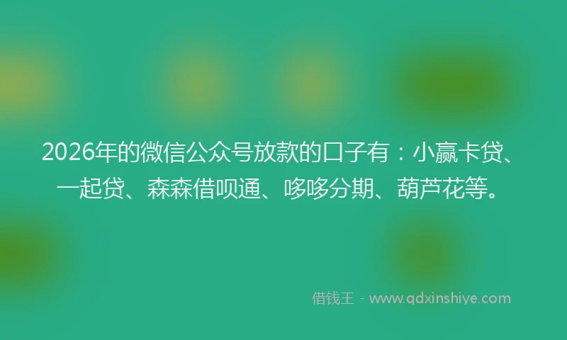 2026年的微信公众号放款的口子有：小赢卡贷、一起贷、森森借呗通、哆哆分期、葫芦花等。