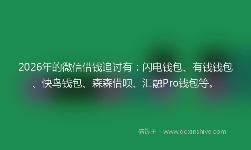 2026年的微信借钱追讨有：闪电钱包、有钱钱包、快鸟钱包、森森借呗、汇融Pro钱包等。