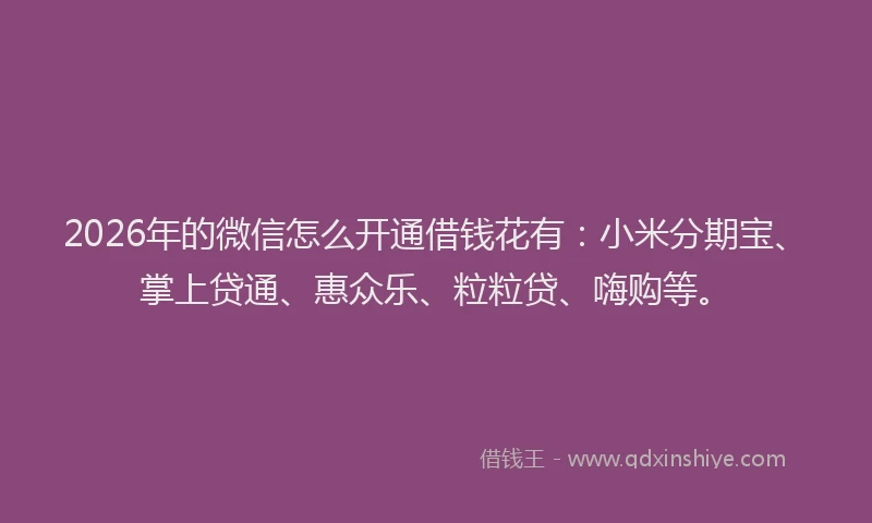 2026年的微信怎么开通借钱花有：小米分期宝、掌上贷通、惠众乐、粒粒贷、嗨购等。