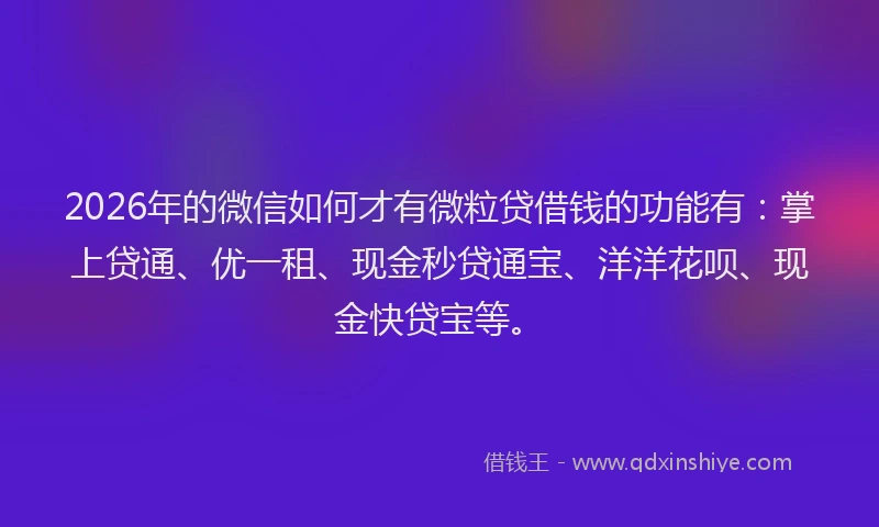 2026年的微信如何才有微粒贷借钱的功能有:掌上贷通、优一租、现金秒贷通宝、洋洋花呗、现金快贷宝等。