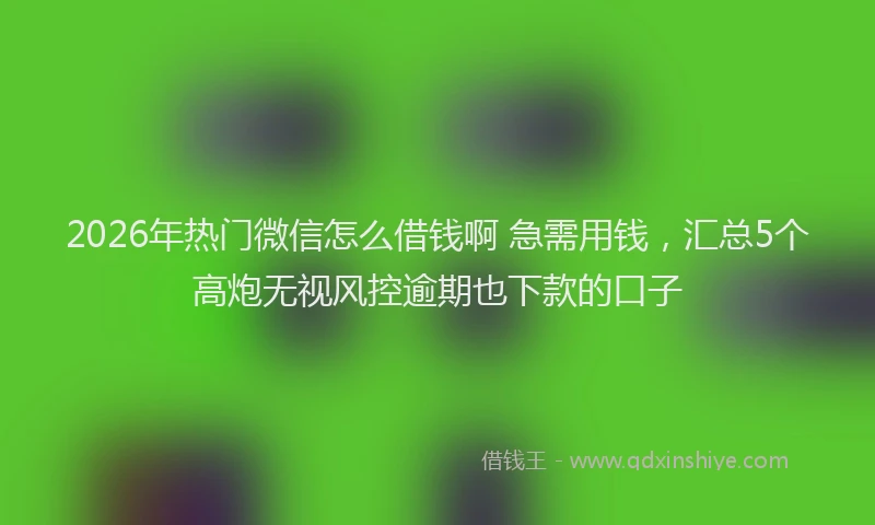 2026年热门微信怎么借钱啊 急需用钱，汇总5个高炮无视风控逾期也下款的口子
