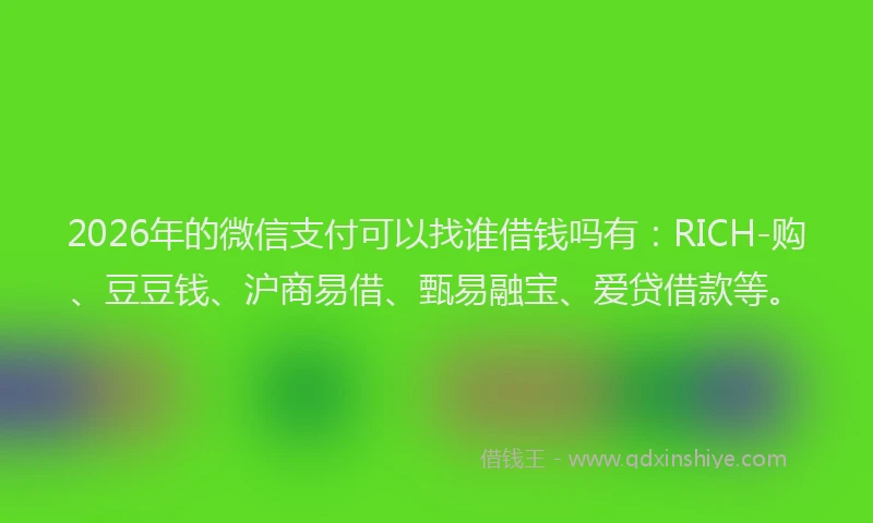2026年的微信支付可以找谁借钱吗有：RICH-购、豆豆钱、沪商易借、甄易融宝、爱贷借款等。