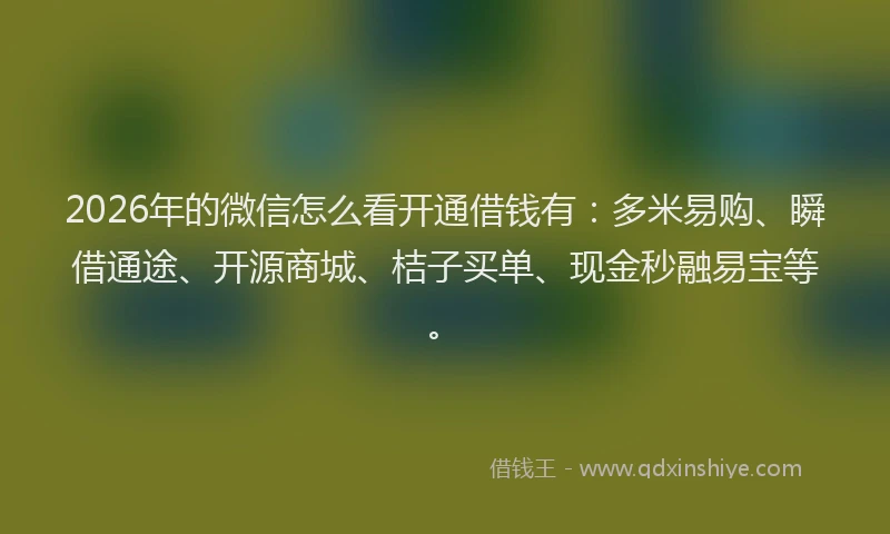2026年的微信怎么看开通借钱有：多米易购、瞬借通途、开源商城、桔子买单、现金秒融易宝等。