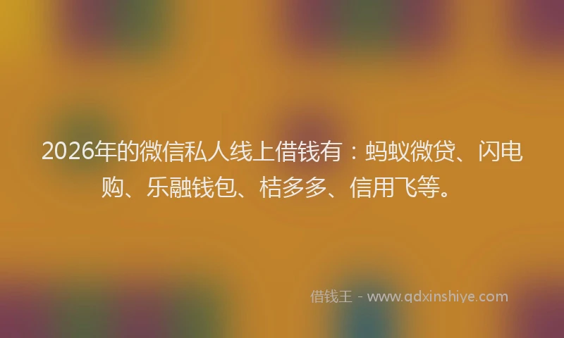 2026年的微信私人线上借钱有：蚂蚁微贷、闪电购、乐融钱包、桔多多、信用飞等。
