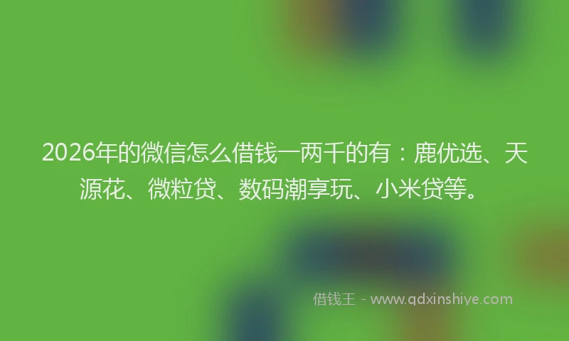 2026年的微信怎么借钱一两千的有:鹿优选、天源花、微粒贷、数码潮享玩、小米贷等。