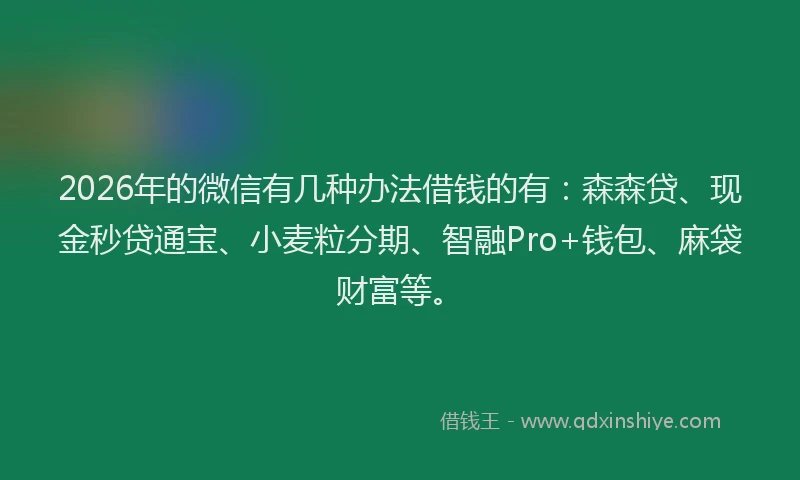 2026年的微信有几种办法借钱的有：森森贷、现金秒贷通宝、小麦粒分期、智融Pro+钱包、麻袋财富等。