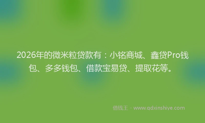 2026年的微米粒贷款有:小铭商城、鑫贷Pro钱包、多多钱包、借款宝易贷、提取花等。