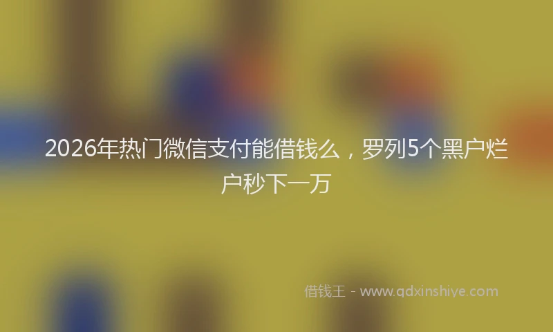 2026年热门微信支付能借钱么，罗列5个黑户烂户秒下一万