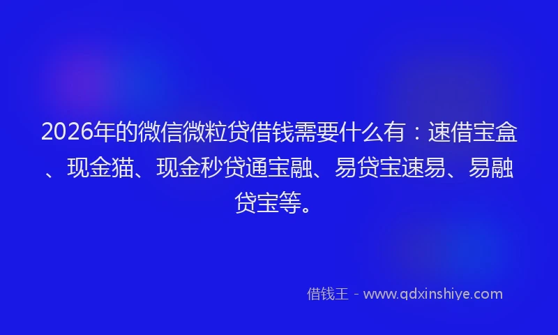 2026年的微信微粒贷借钱需要什么有：速借宝盒、现金猫、现金秒贷通宝融、易贷宝速易、易融贷宝等。