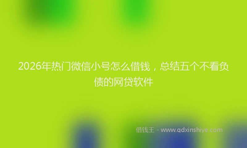 2026年热门微信小号怎么借钱，总结五个不看负债的网贷软件