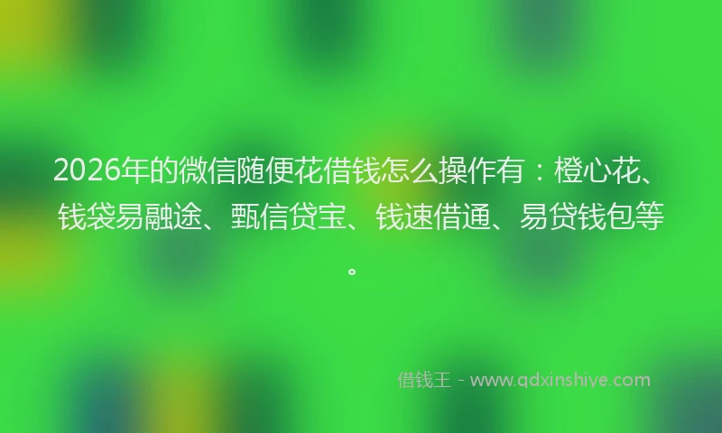 2026年的微信随便花借钱怎么操作有：橙心花、钱袋易融途、甄信贷宝、钱速借通、易贷钱包等。