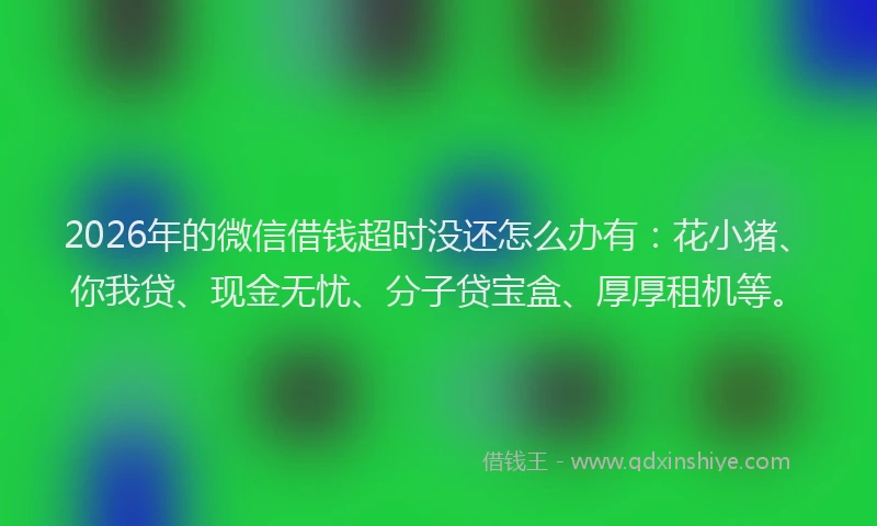 2026年的微信借钱超时没还怎么办有：花小猪、你我贷、现金无忧、分子贷宝盒、厚厚租机等。