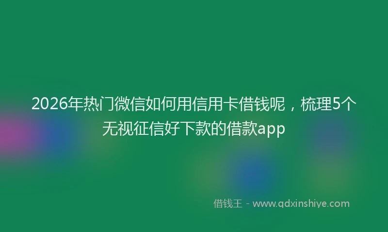 2026年热门微信如何用信用卡借钱呢,梳理5个无视征信好下款的借款app