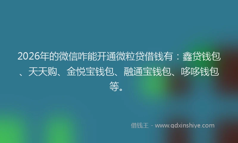 2026年的微信咋能开通微粒贷借钱有:鑫贷钱包、天天购、金悦宝钱包、融通宝钱包、哆哆钱包等。