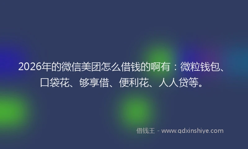 2026年的微信美团怎么借钱的啊有：微粒钱包、口袋花、够享借、便利花、人人贷等。