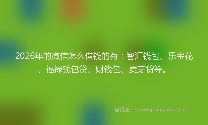 2026年的微信怎么借钱的有:智汇钱包、乐宝花、福禄钱包贷、财钱包、麦芽贷等。